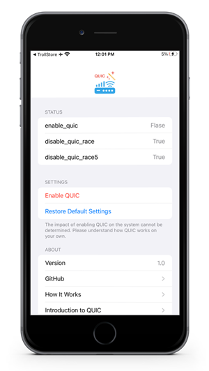 EnableQUIC screenshot 1